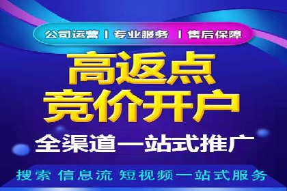 竞价推广实战：经典案例深度解析